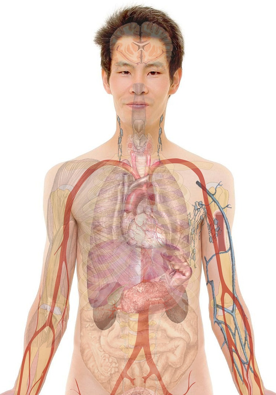 Rehabilitation Nursing Practice