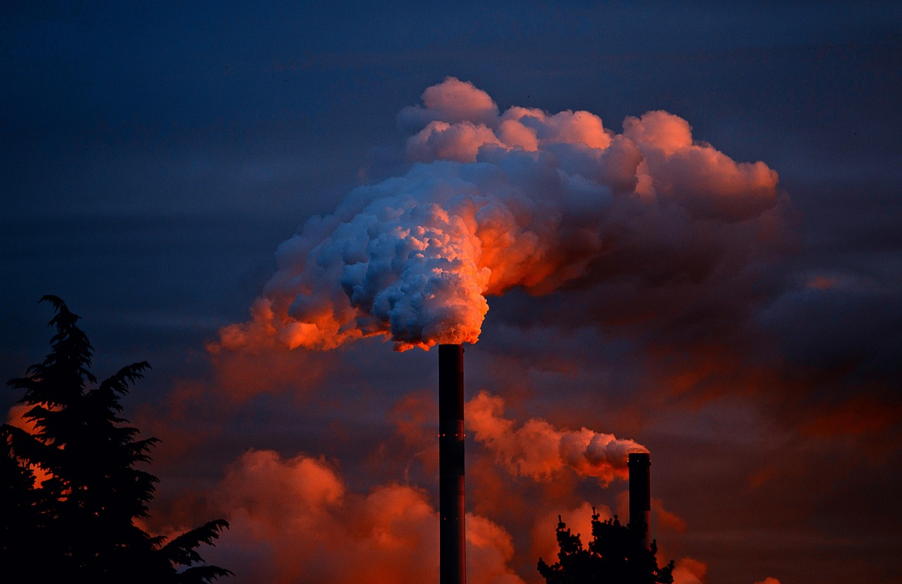 Environmental Impact Simulation