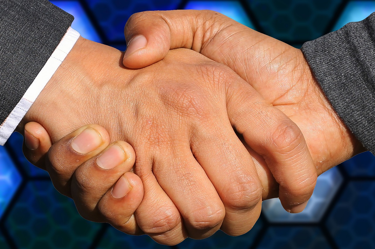 Market Access Negotiation Strategies