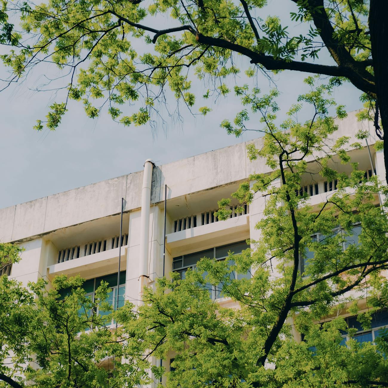 Environmental Economics and Policy