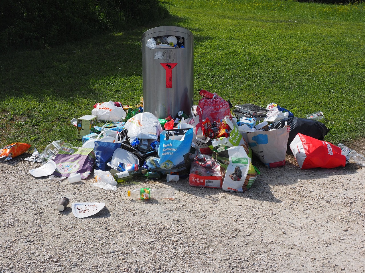 Environmental Impact of Pharmaceutical Waste Disposal