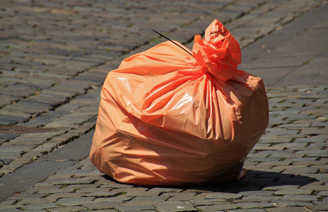 Audit and Evaluation of Pharmaceutical Waste Disposal.