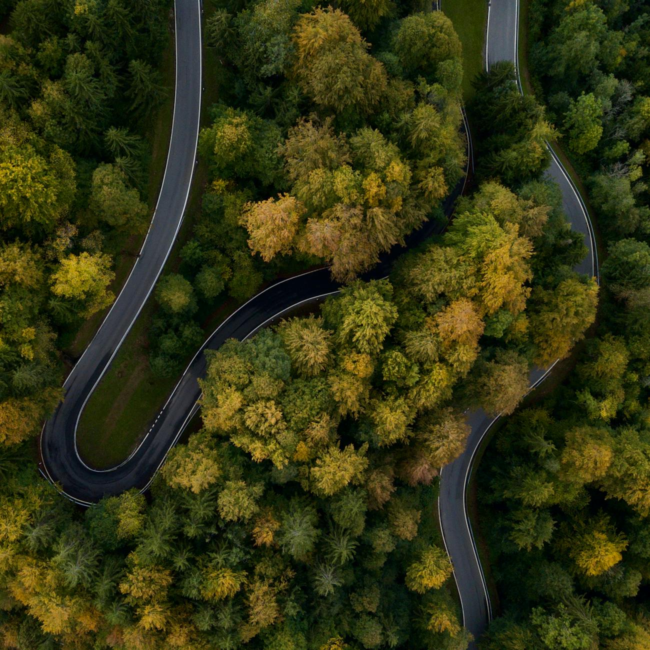 Change Management in ERP Projects