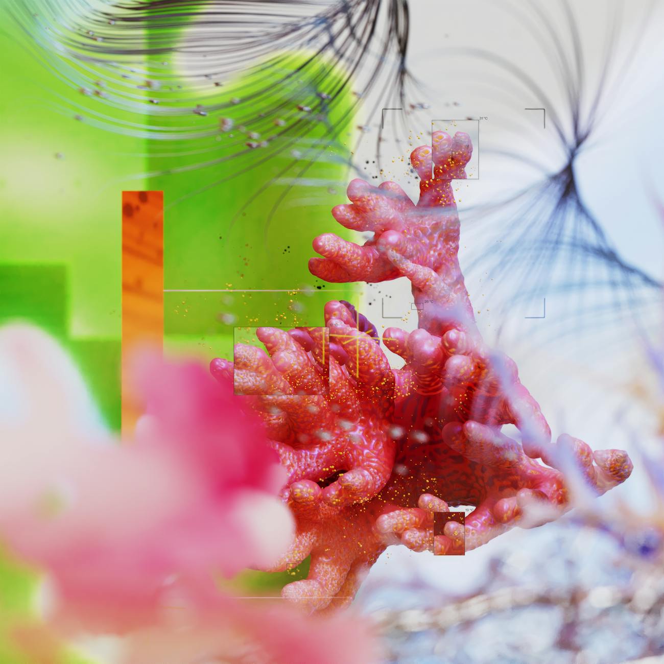 Cytokines and Inflammation