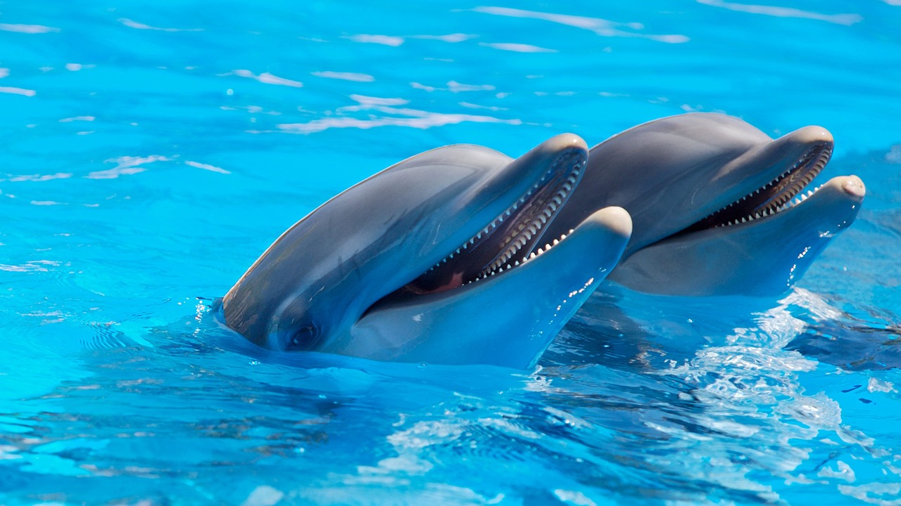 Guided Relaxation in the Pool
