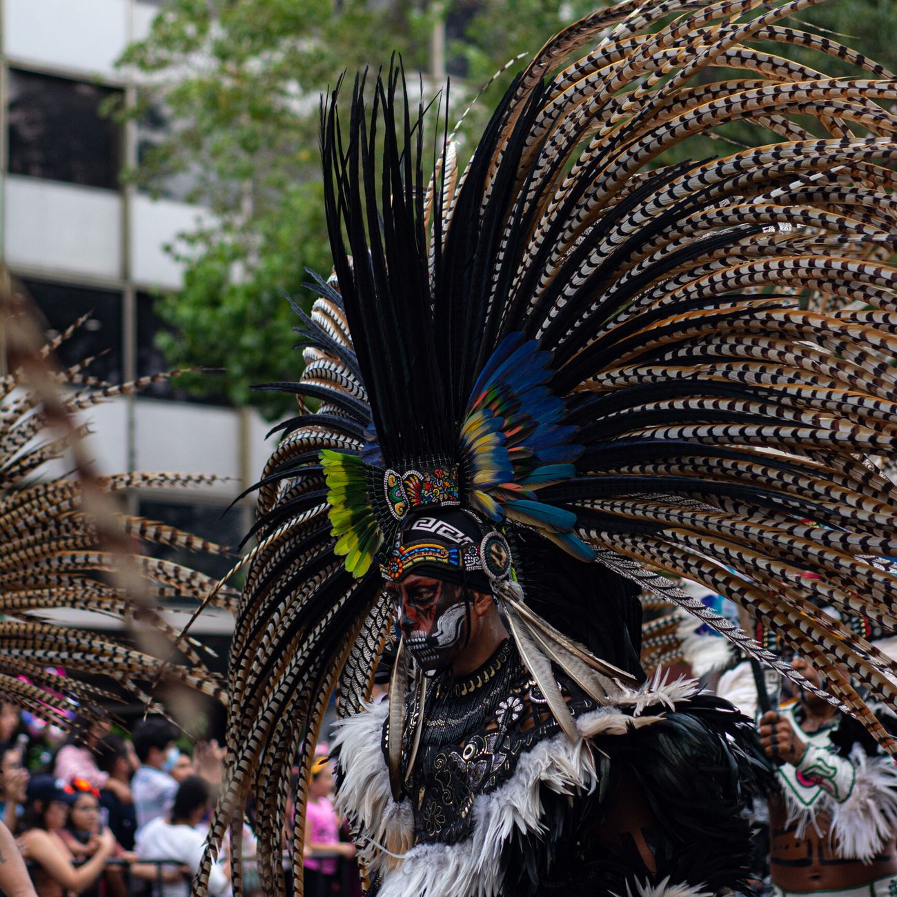 Cultural Competency and Diversity