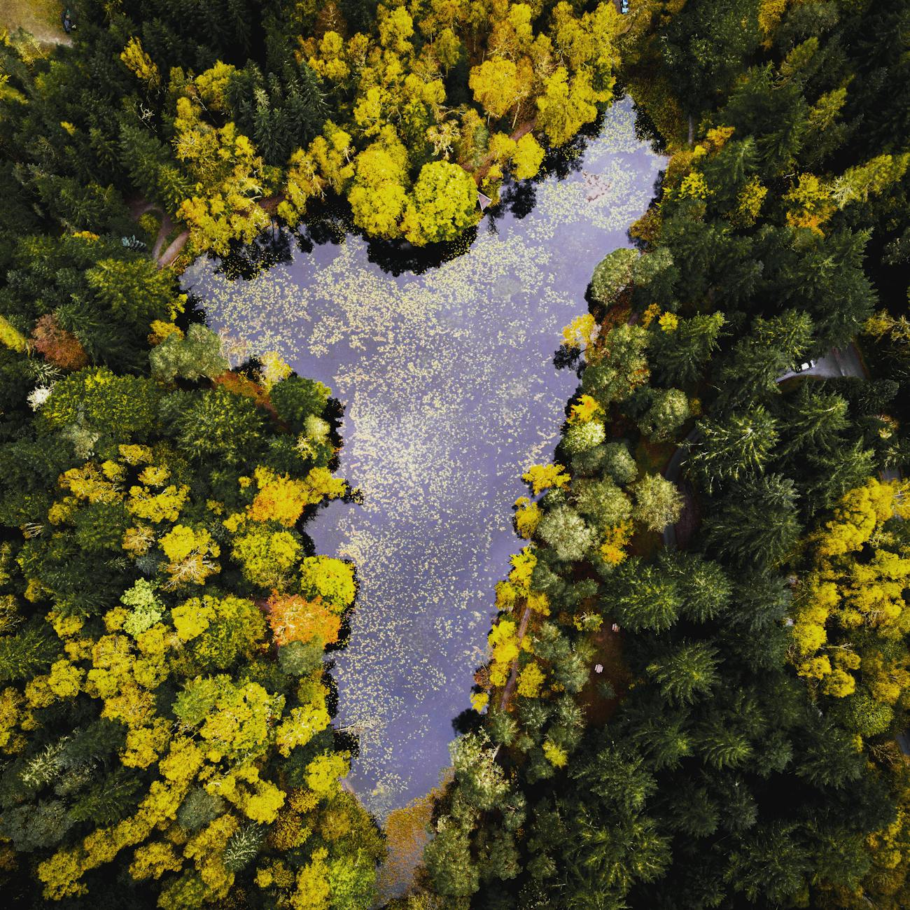 Cultural Perspectives on Nature