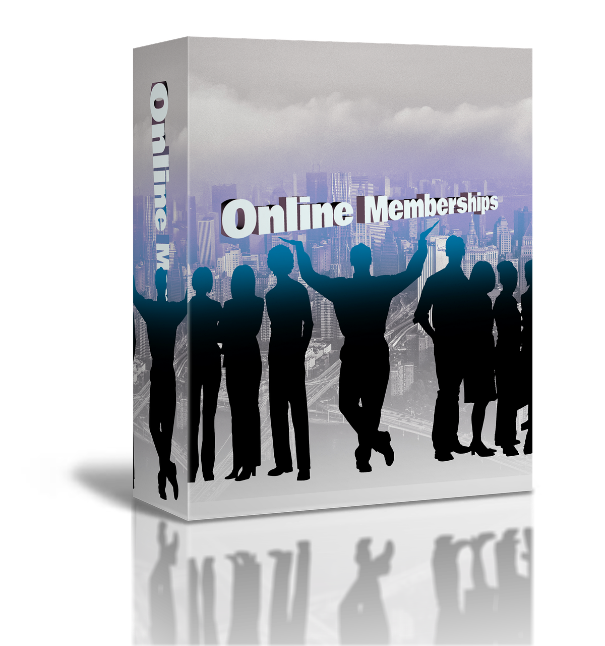 Cyberbullying and Online Aggression