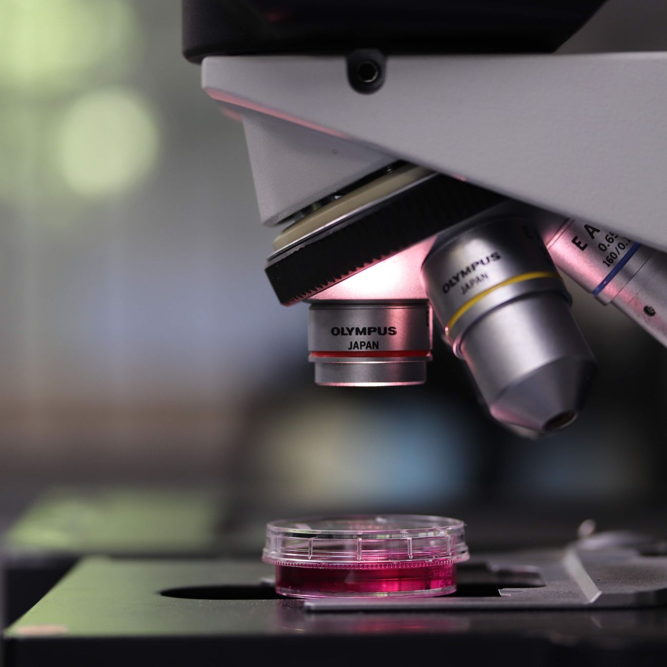 Research Methods for Medical Journalists
