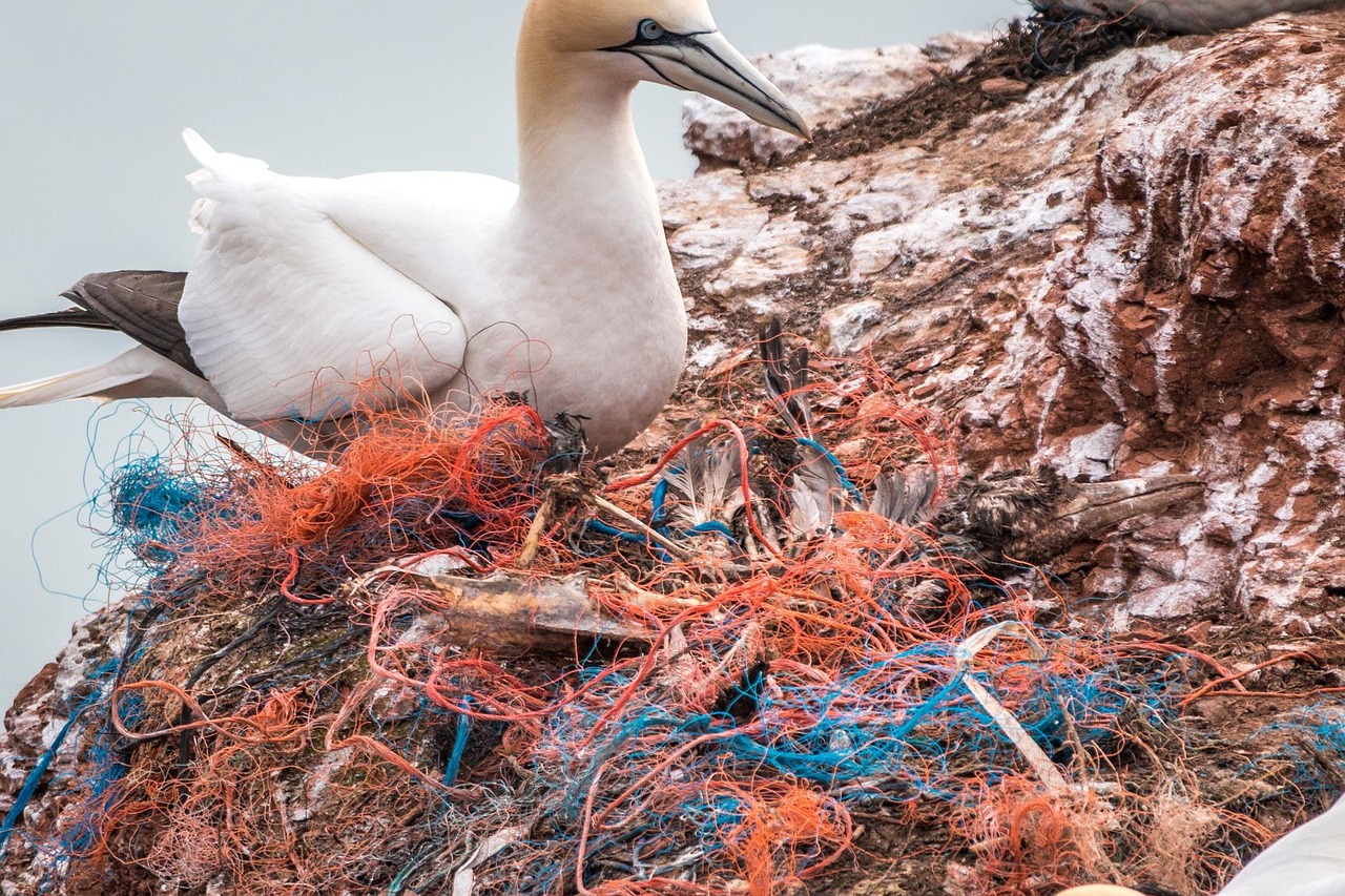 Marine Pollution Prevention and Response