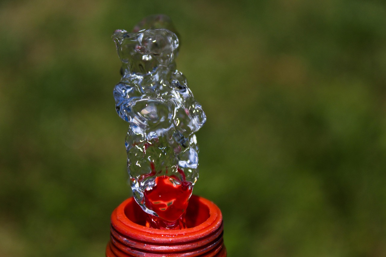 Decision Support Systems in Water Resources