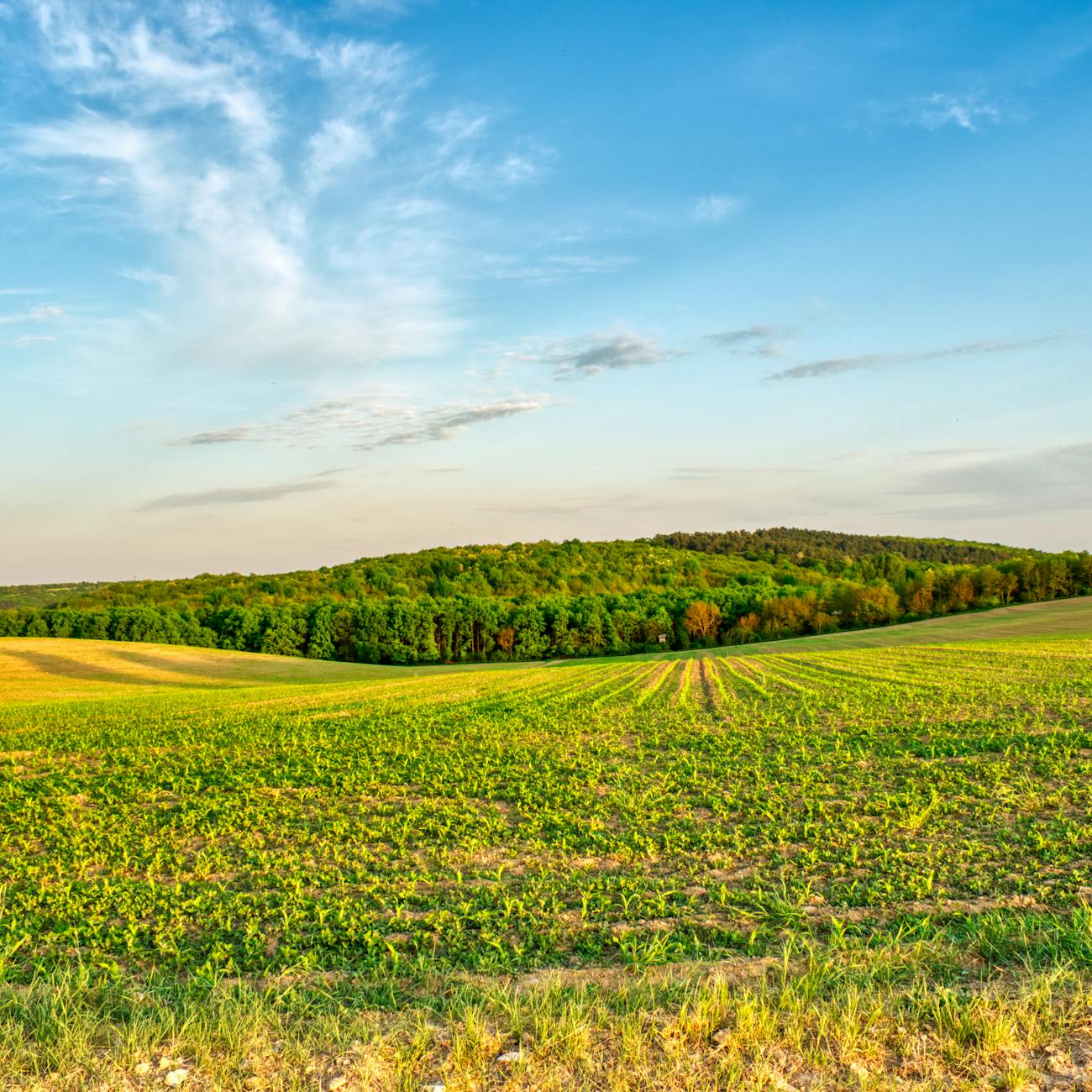 Introduction to Agricultural Law (United Kingdom)