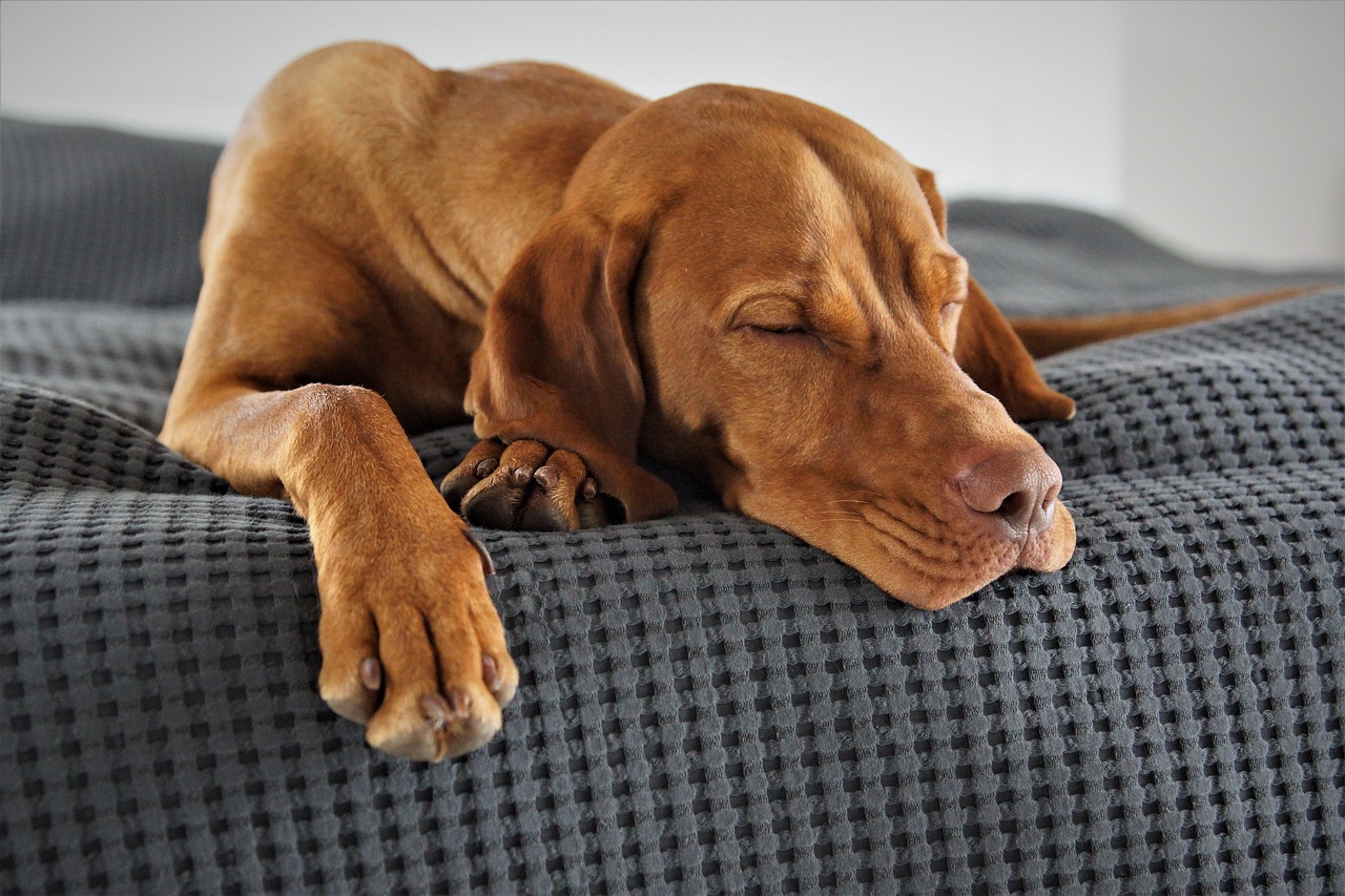 Sleep And Relaxation Techniques