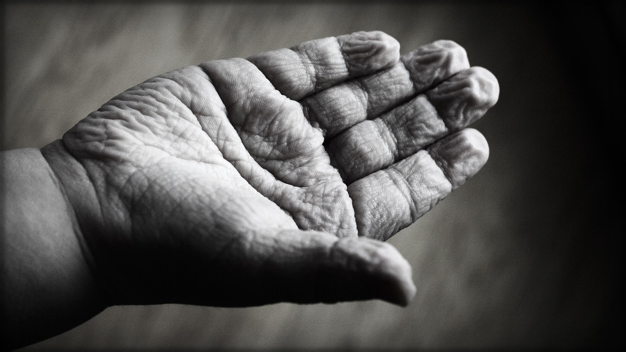 Biochemical And Physiological Aspects Of Aging