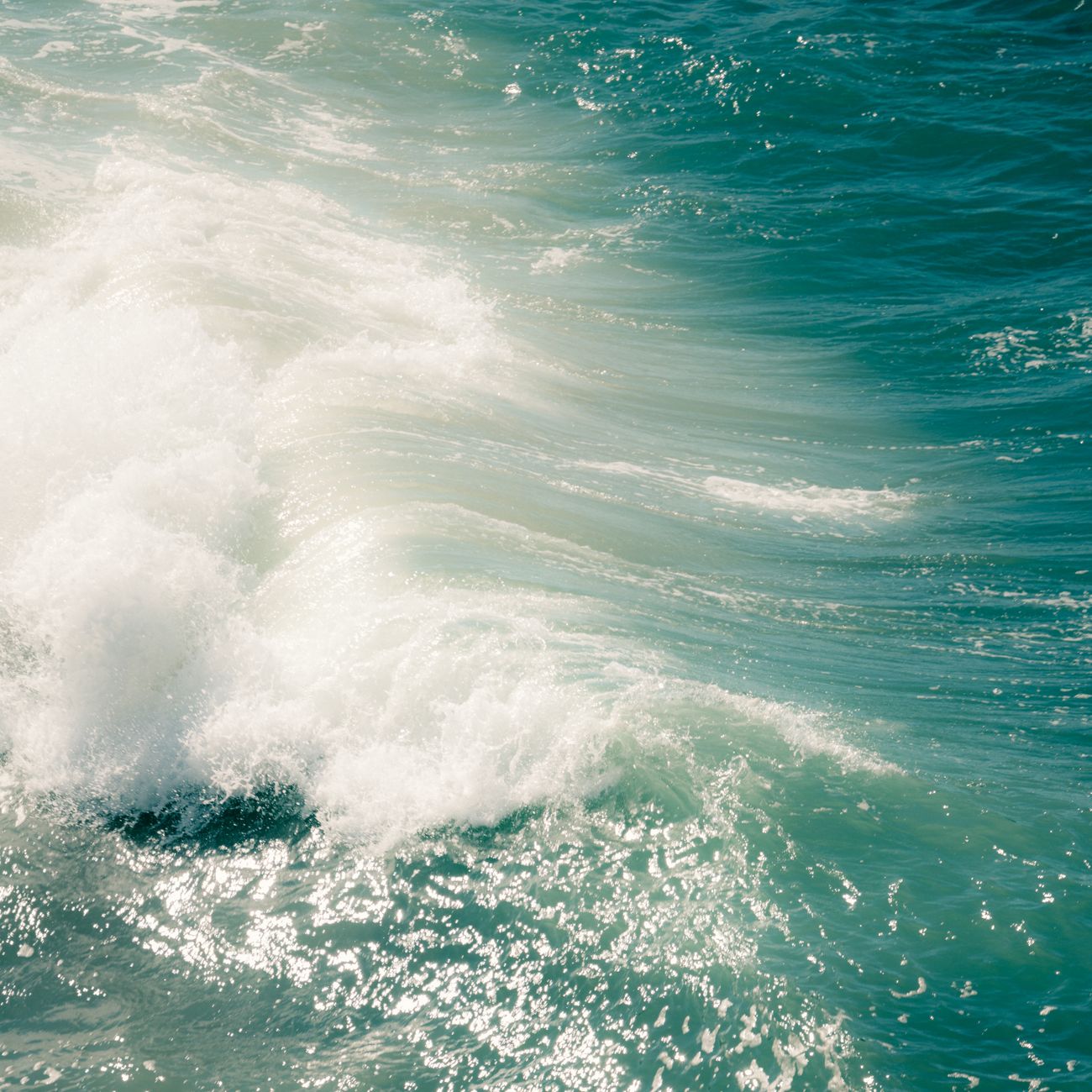 Aquatic Exercise And Movement