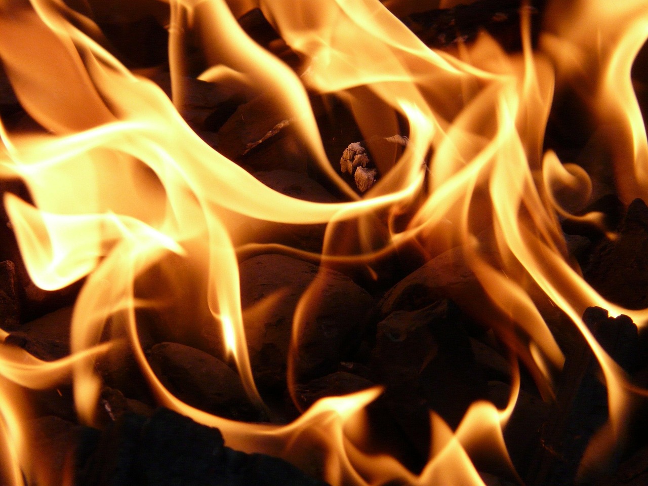 Alternative Energy Combustion Systems