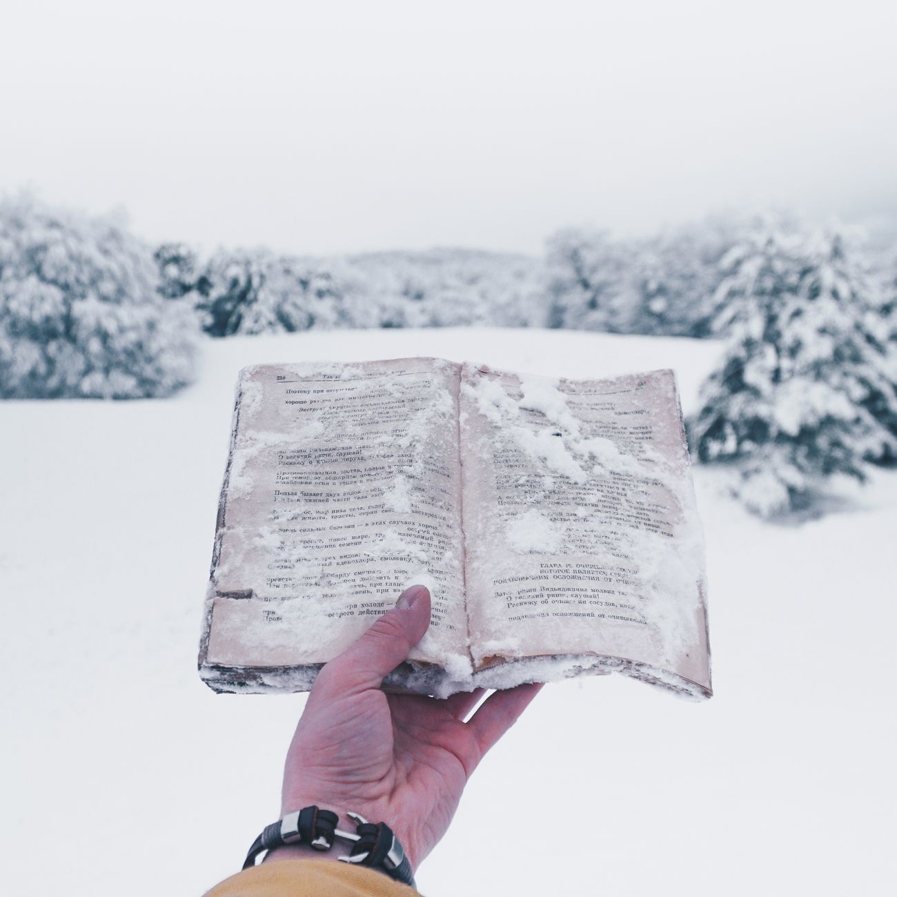 Narrative Healing Through Visual Storytelling