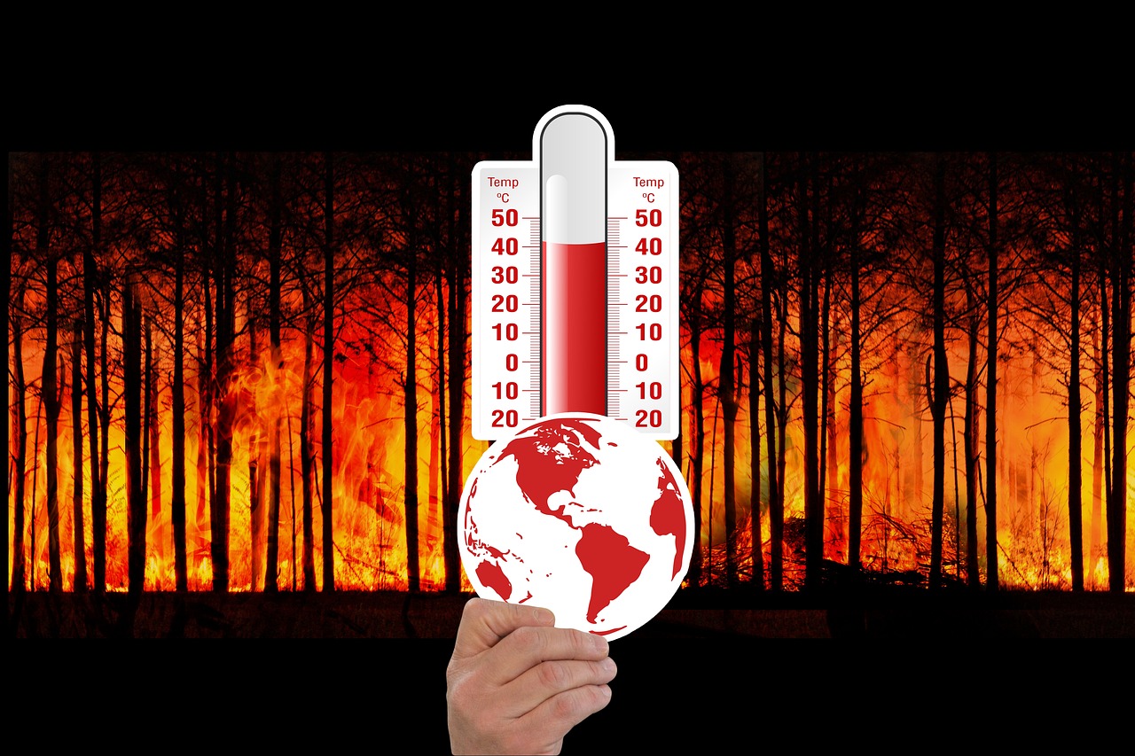 Climate Change Law and Energy Policy