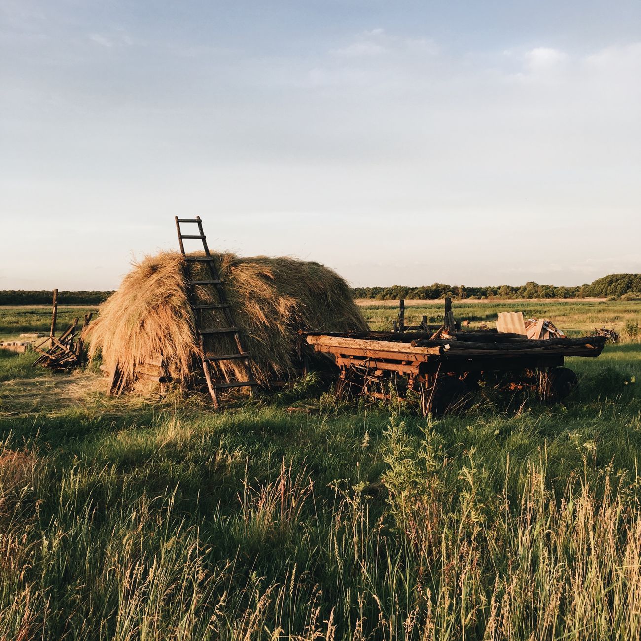 Transition Planning and Implementation for Farm Succession