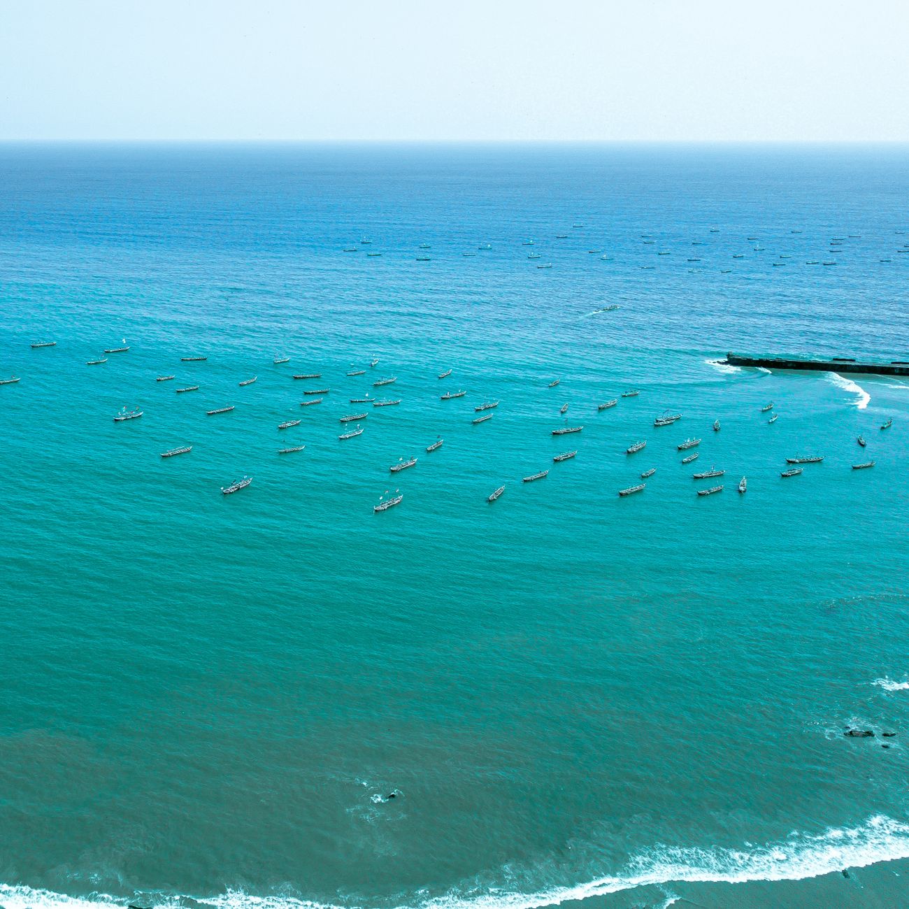 Charter Party Formation