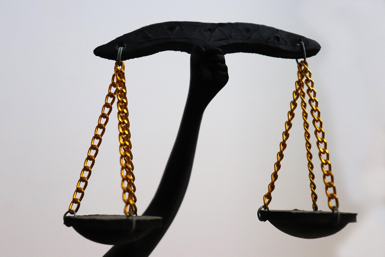Human Rights and Constitutional History
