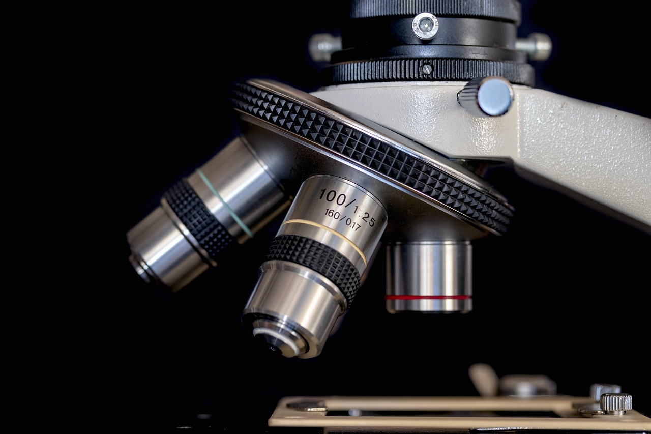 Biomarker Discovery and Validation in Longevity