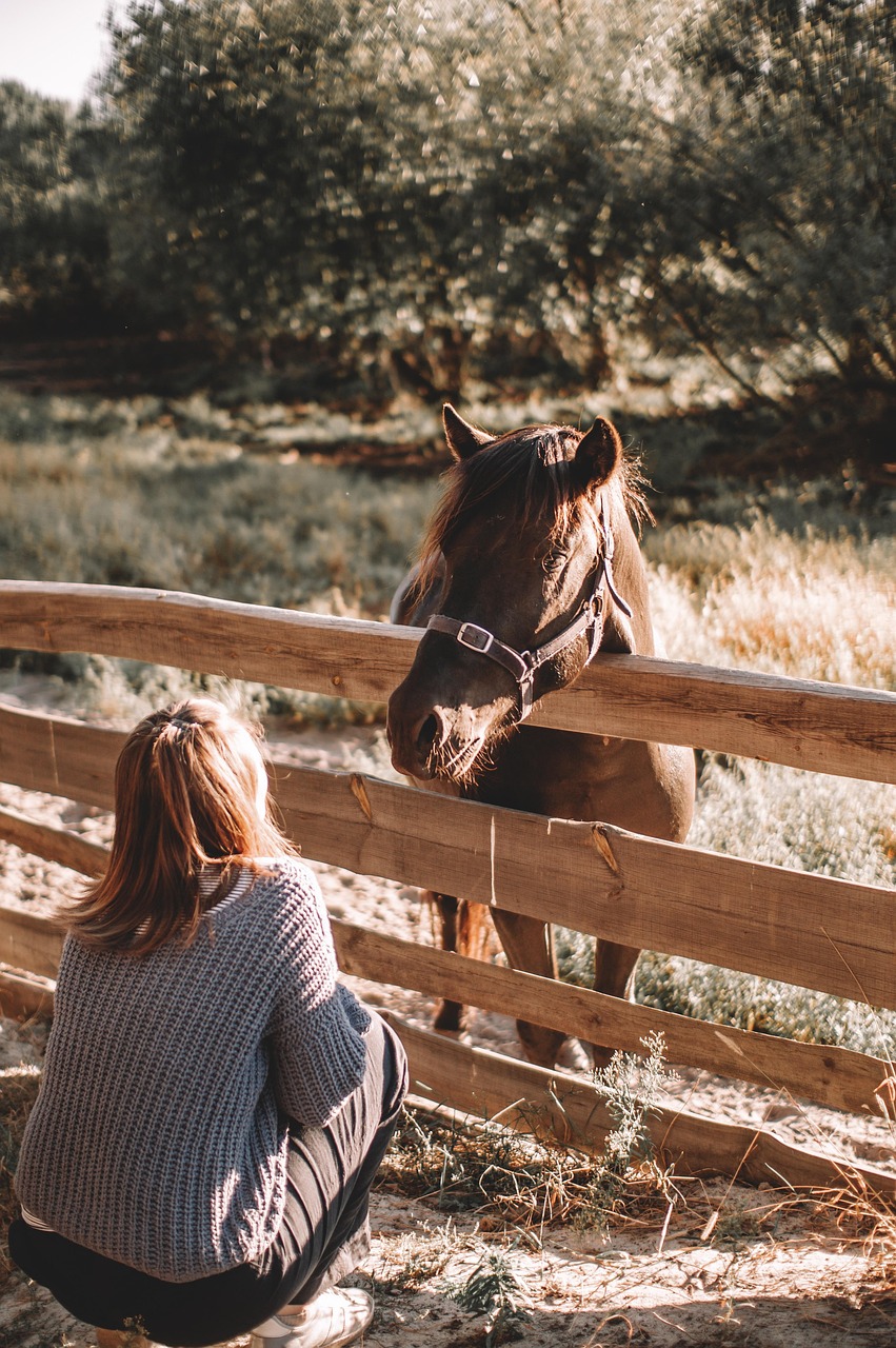 Equine Parasite Biochemistry