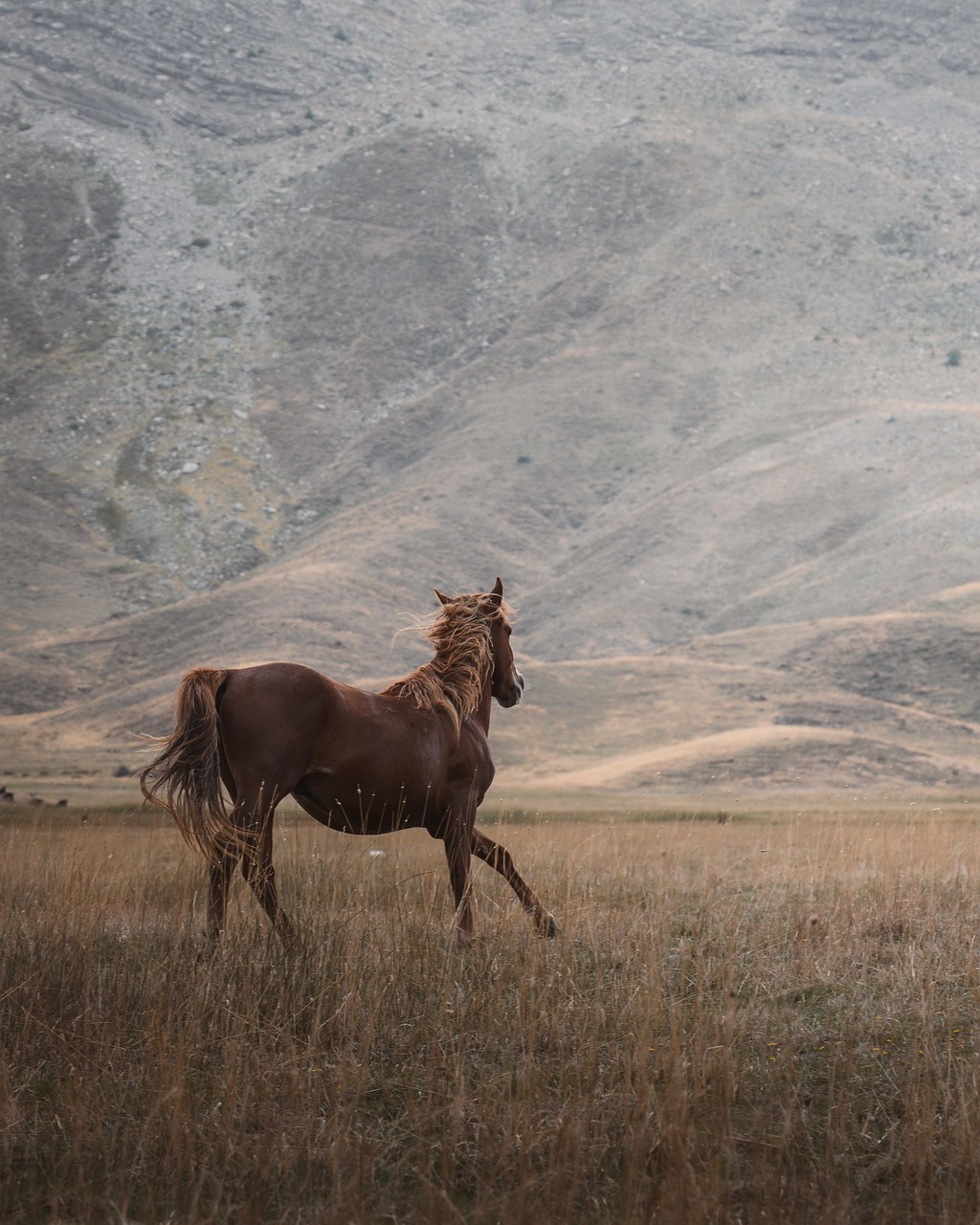 Equine Parasite Epidemiology
