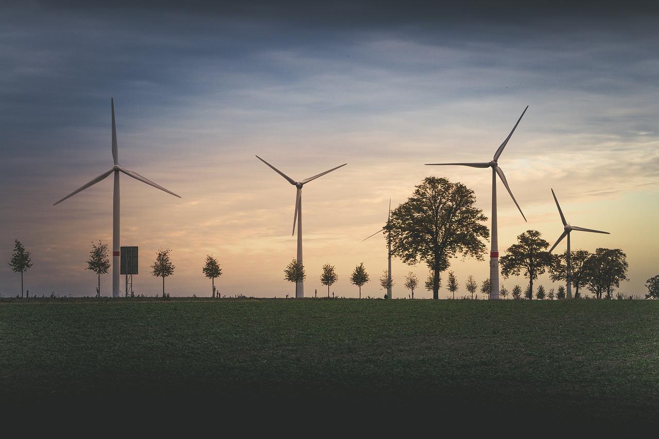 Valuation Of Environmental Resources
