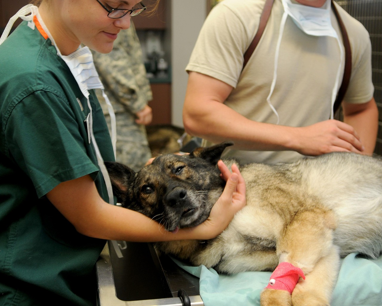 Patient Preparation and Care