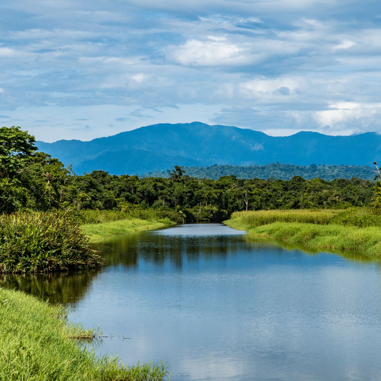 Monitoring Evaluation and Adaptive Management