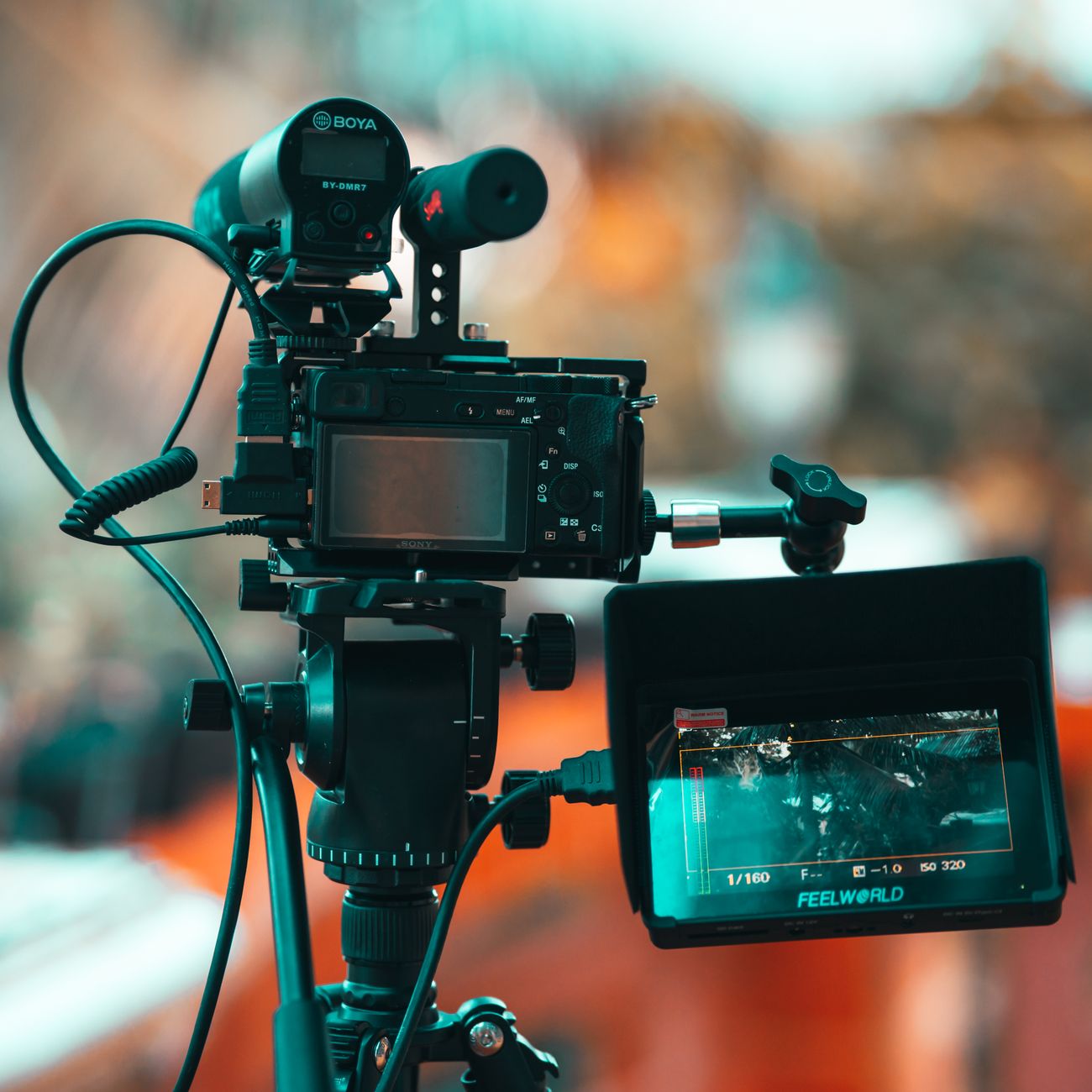 Monitoring and Evaluating Technology Impact  