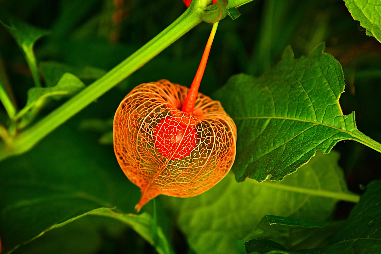 Bladder And Bowel Management