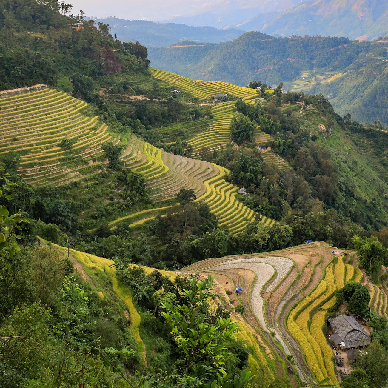 Regulatory Frameworks in Sustainable Agriculture (United Kingdom)