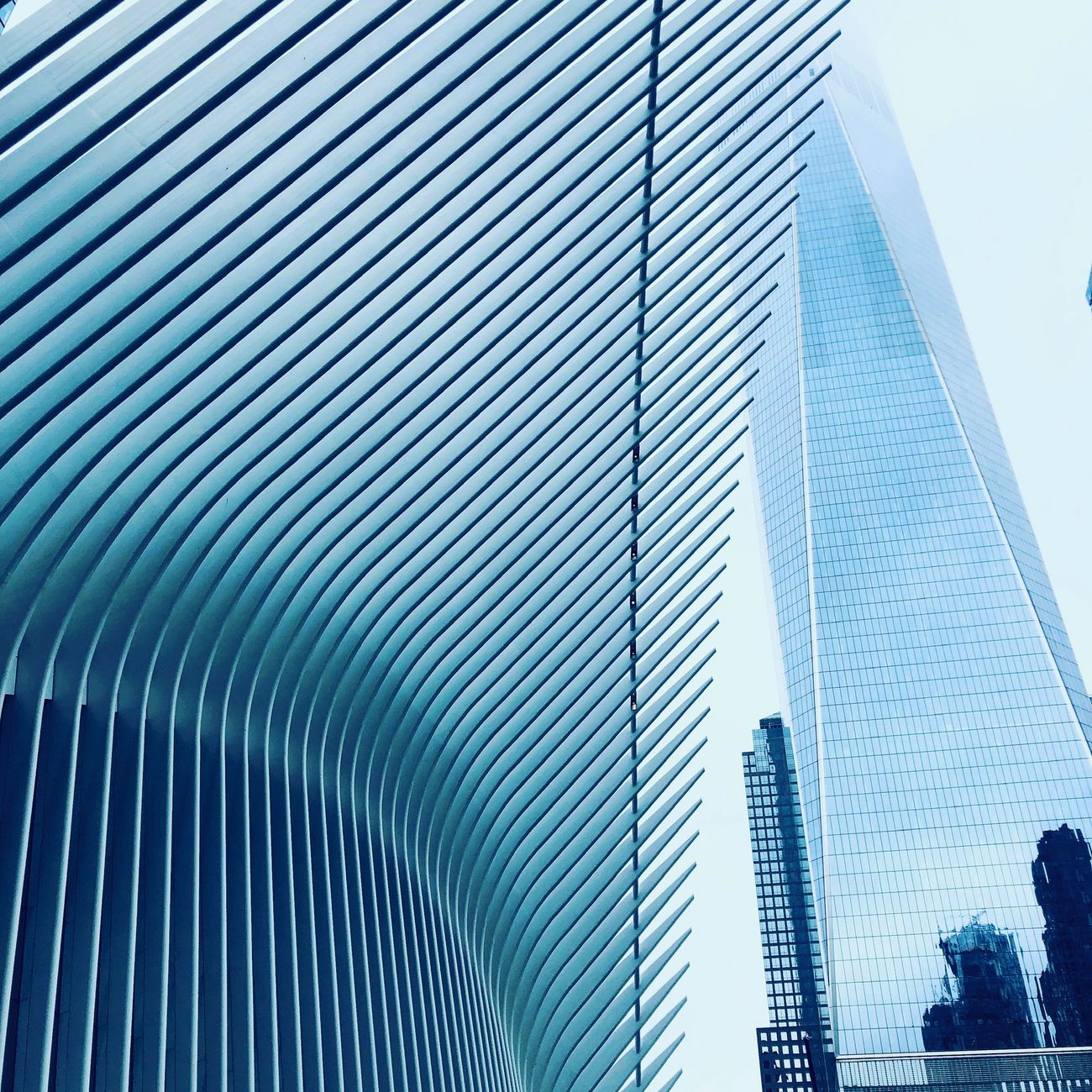 Regulatory Environment in CFD Trading  