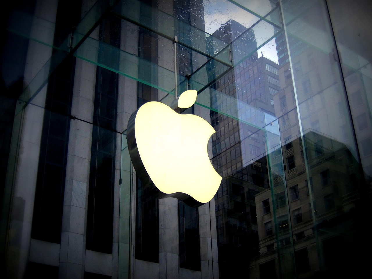 Brand Positioning and Differentiation  