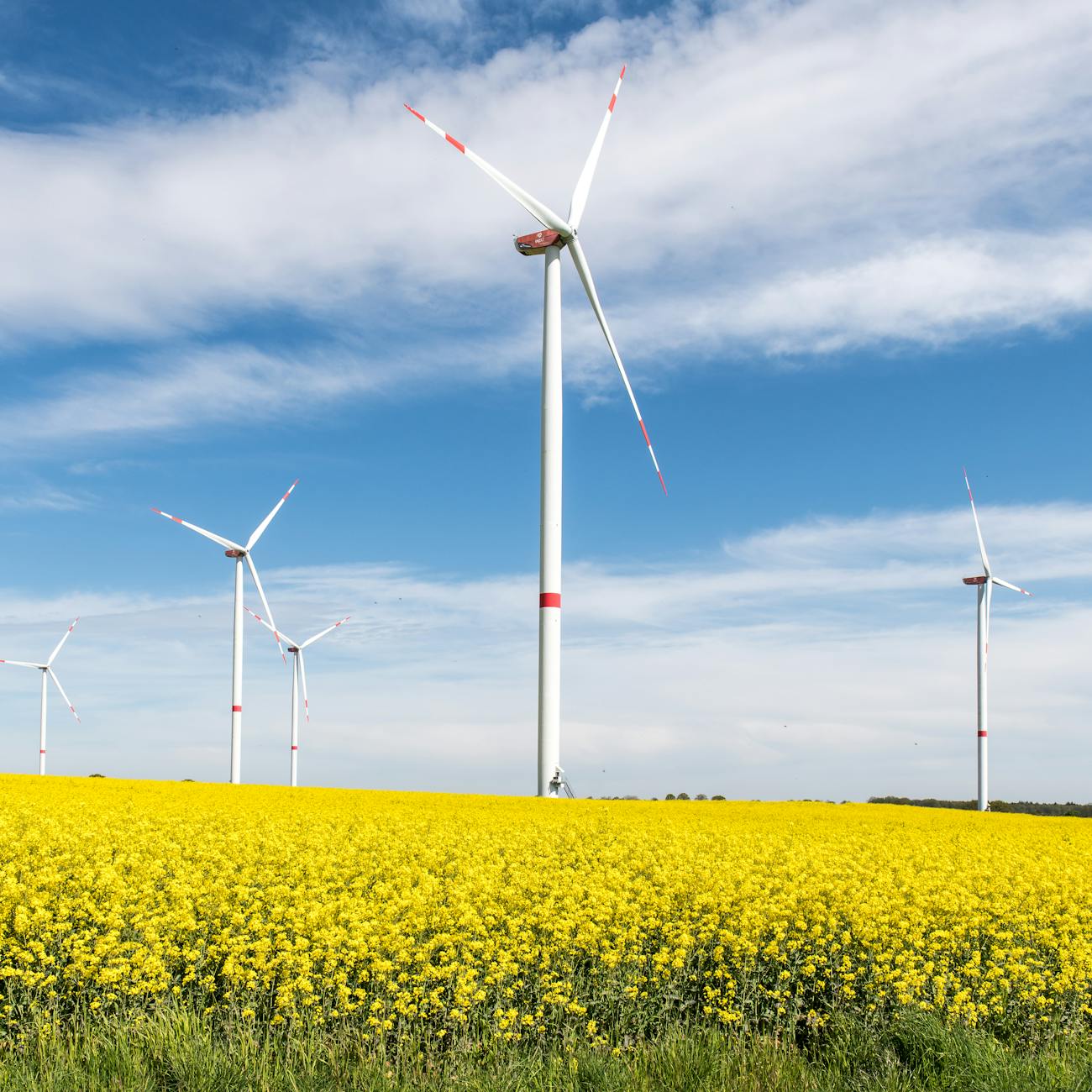 Renewable Energy Stakeholder Engagement (United Kingdom)