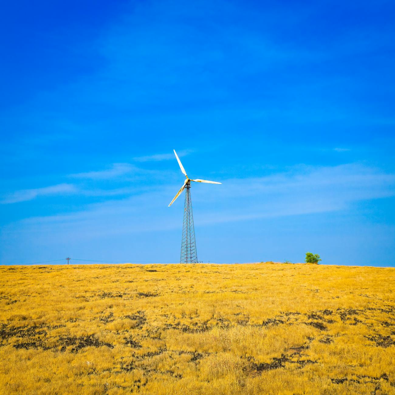 Renewable Energy Market Analysis (United Kingdom)
