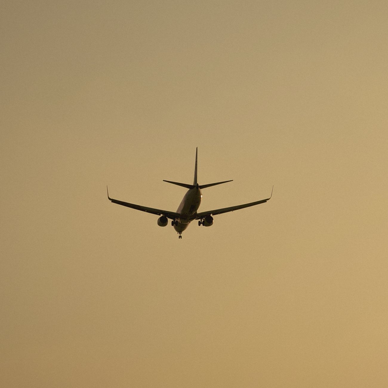 Aviation Project Management