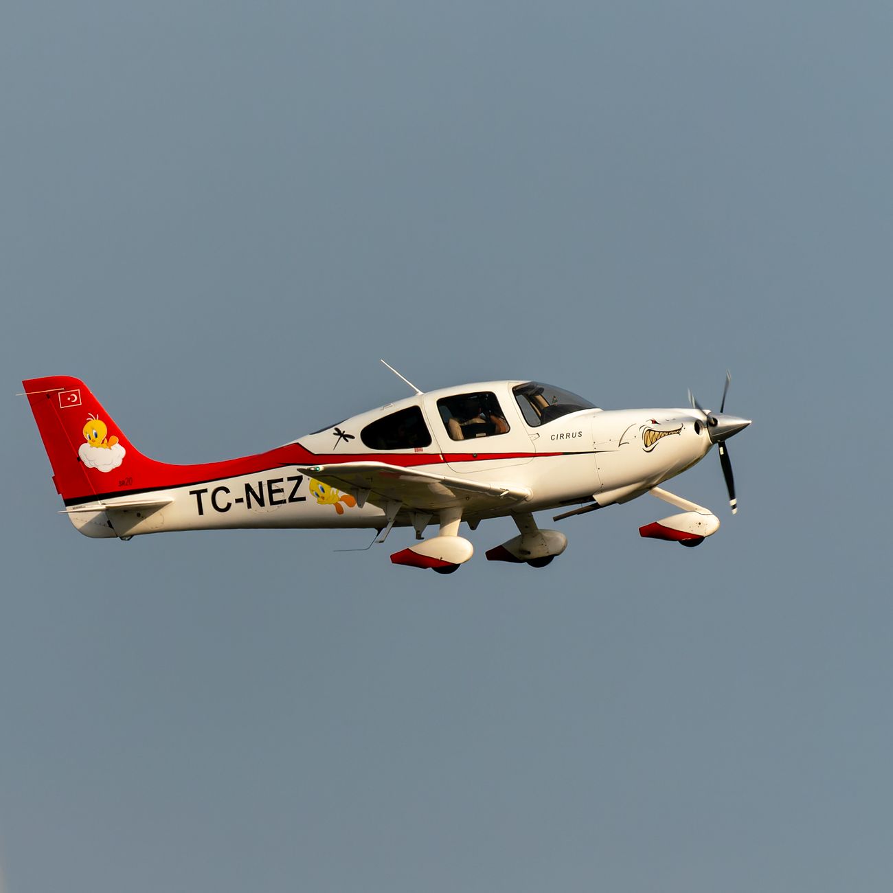 Aviation Financial Management