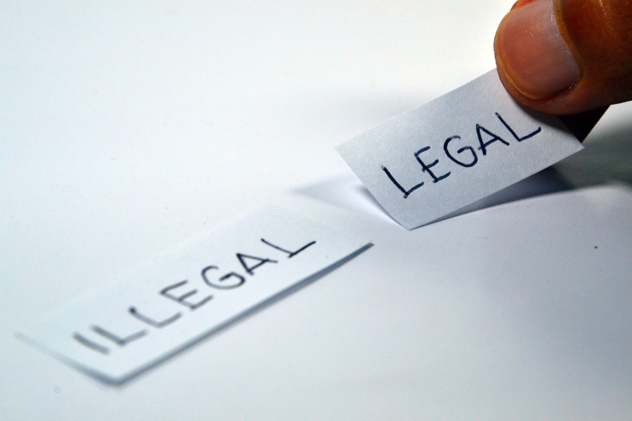Introduction to Legal Writing for Immigration