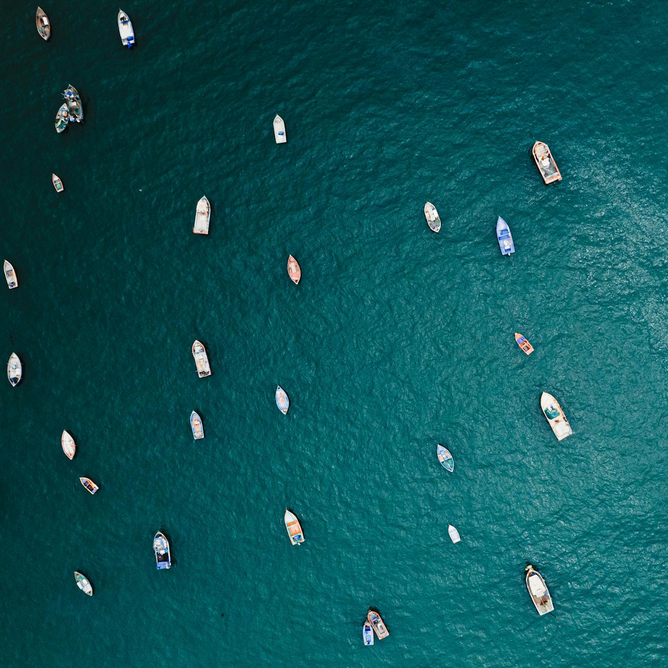 Mussel Farming Regulations