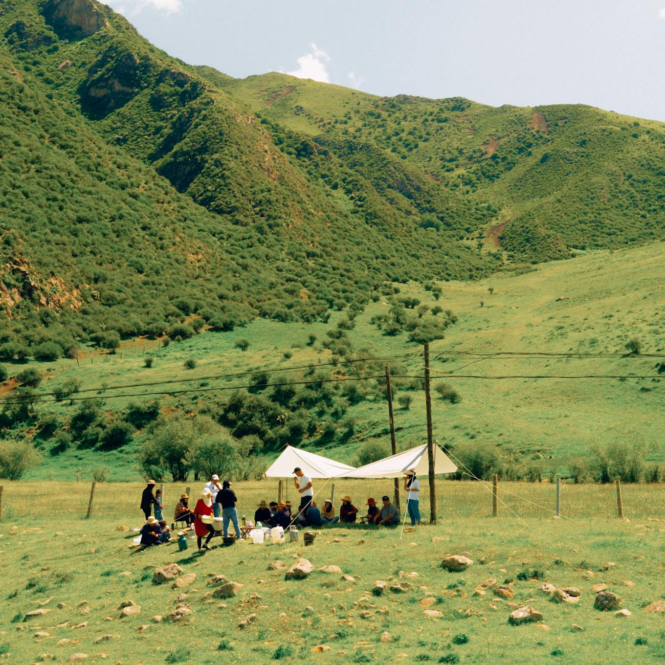 Climate Change and Resilience Planning