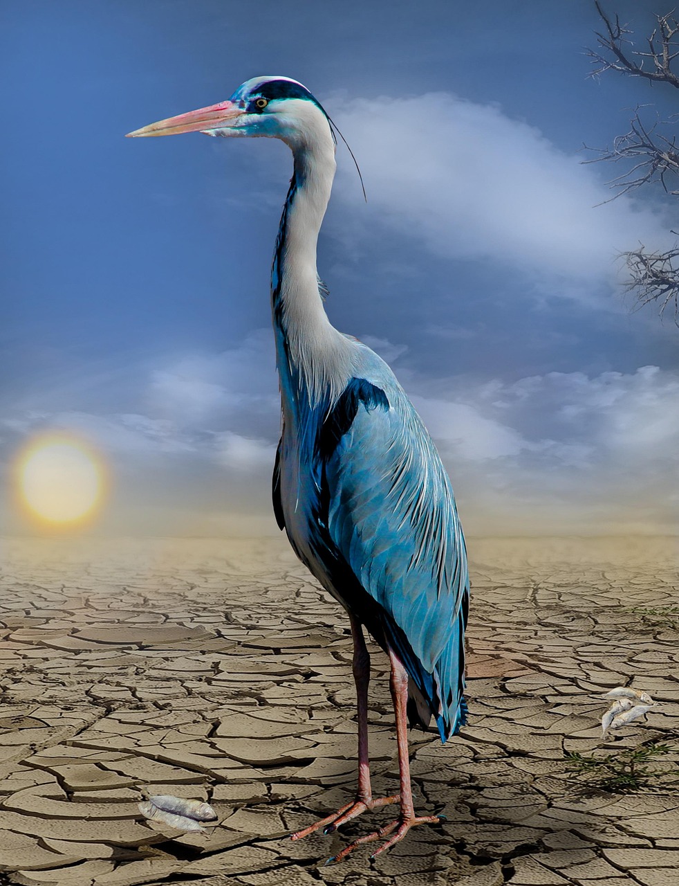 Climate Change and Energy Law