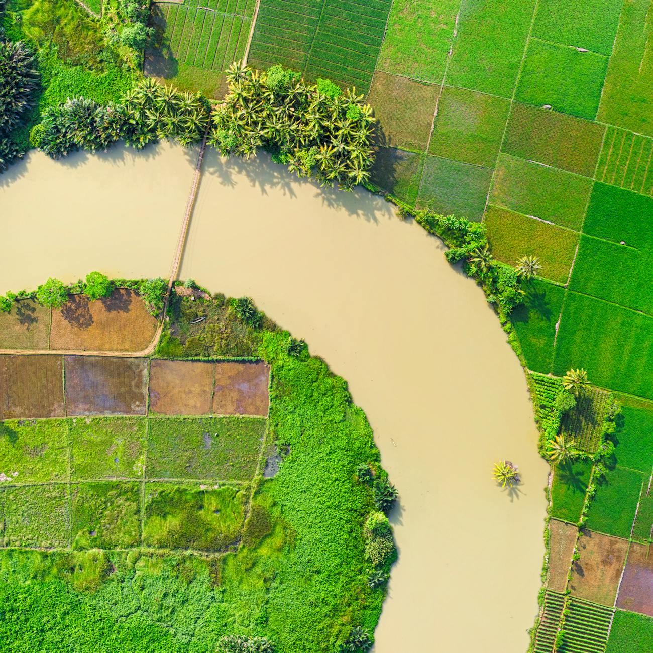 Robotics and Automation in Farming
