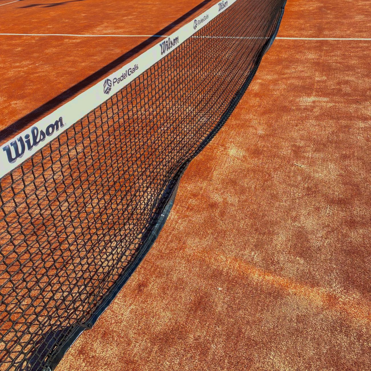 Regulation of Sports Organizations