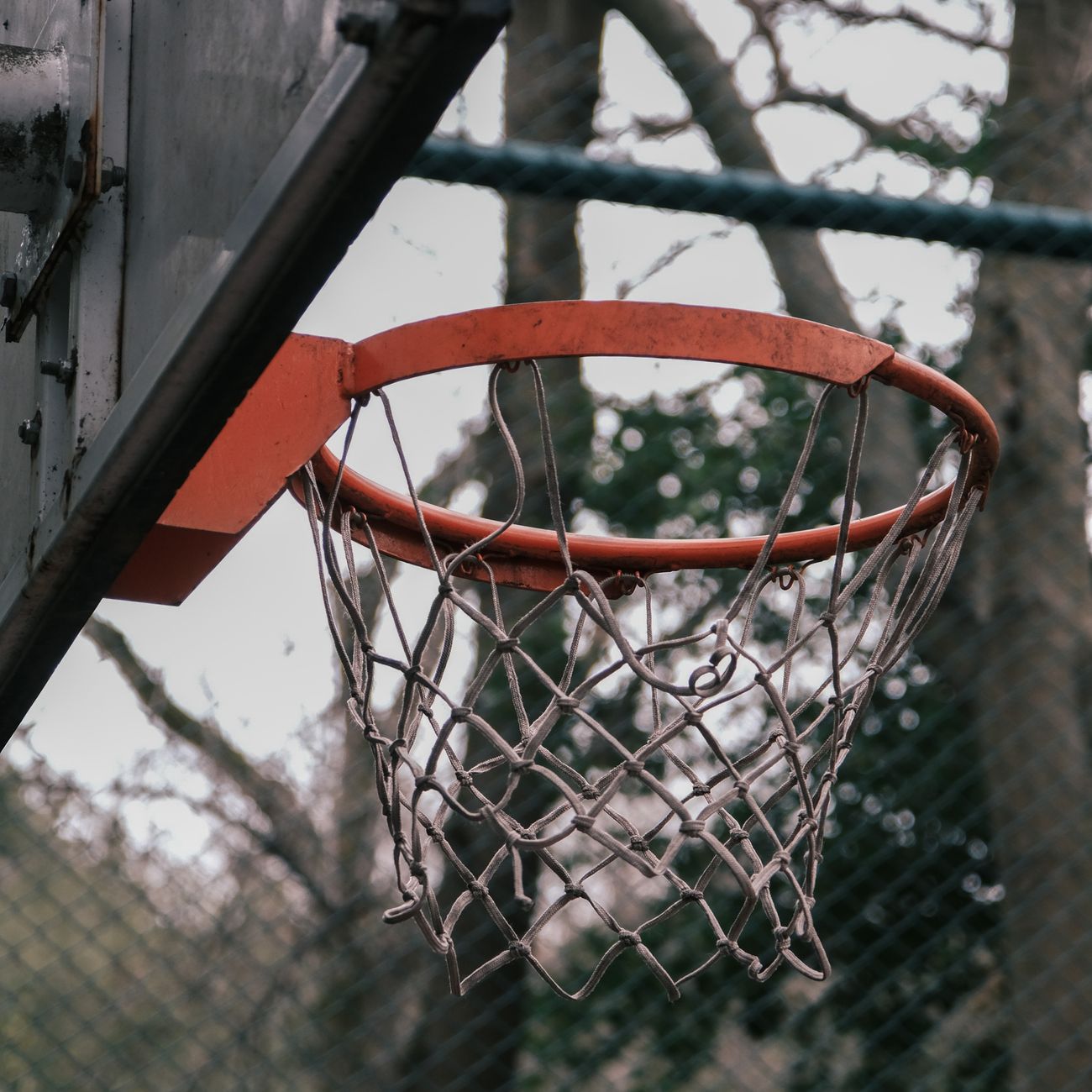 Emerging Legal Issues in Sports