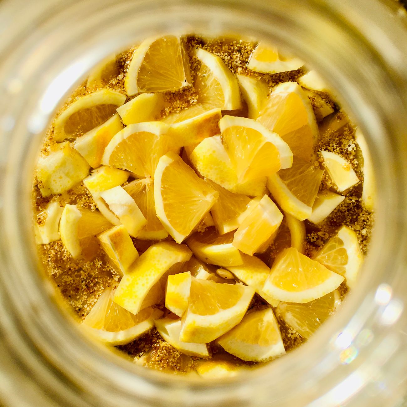 Fermented Foods and Gut Health