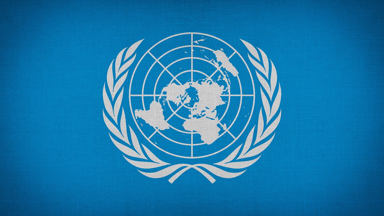 International Maritime Organization (IMO) Regulations