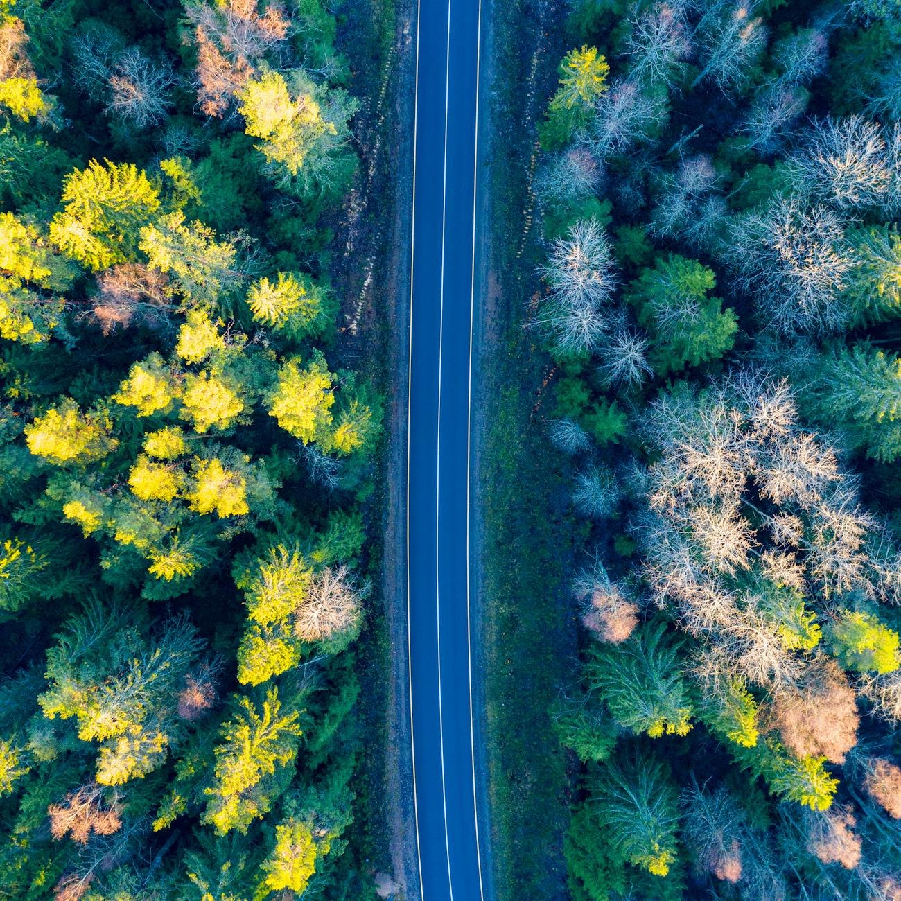 Emerging Risks and Trends
